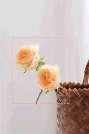 自动切换图片自动展开