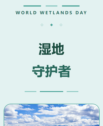 世界湿地日湿地保护行动