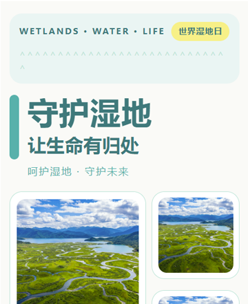 世界湿地日手账风海报