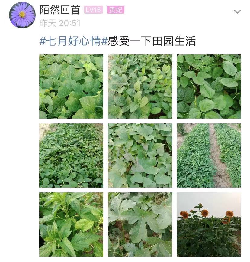 微信图片_20210706172702.jpg