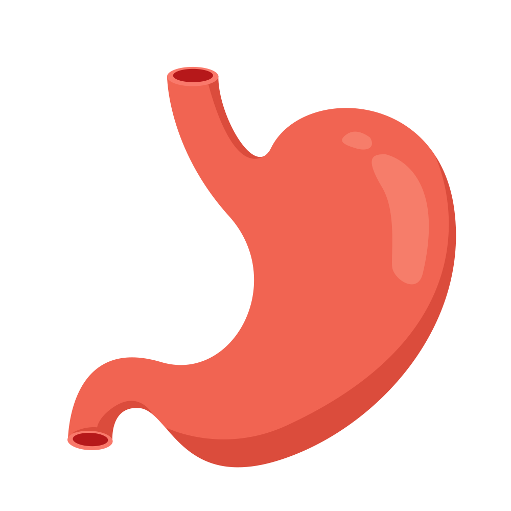 摄图网_401795956_胃（企业商用）.png