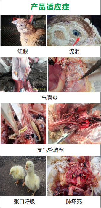 微信截图_20201113153930.png