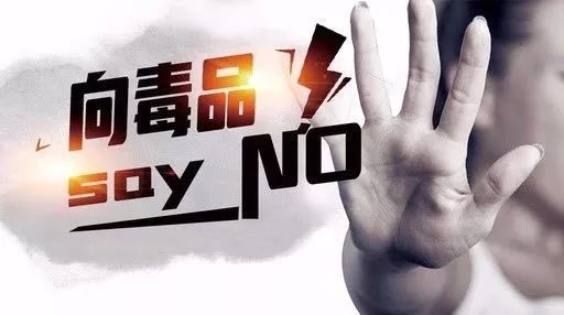 ba2e9e2c7246afa66fefa6d928816fea.jpg