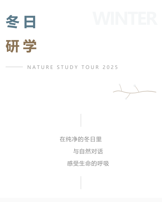 冬日研学教研教育模板