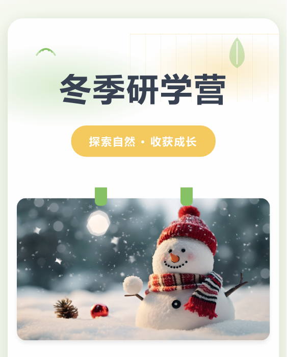 冬季研学营冬令营模板