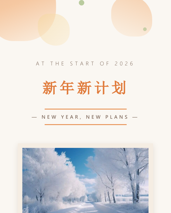 新年计划年度汇报模板