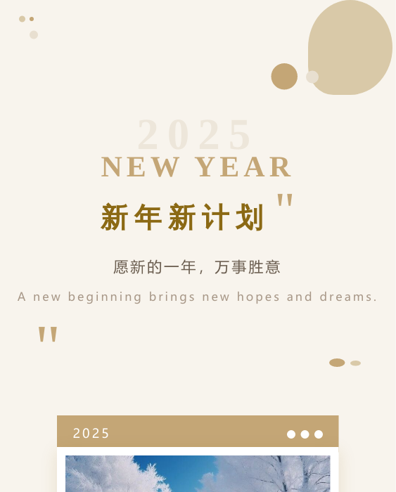 新年新计划模板