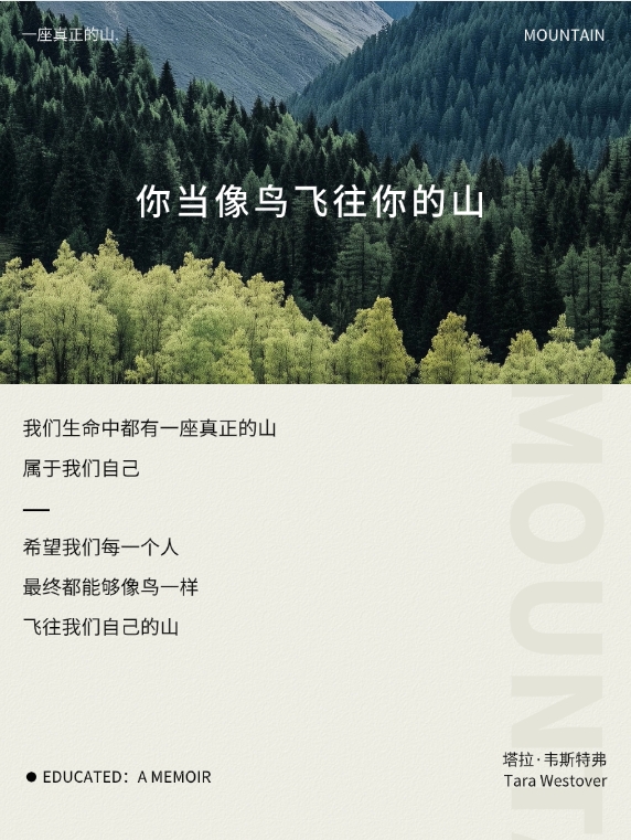 96 编辑器模板库截图