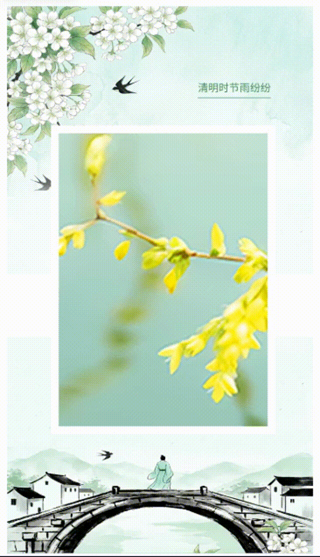 封面透明背景放大轮播