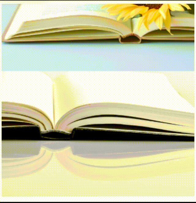 图片掉落效果自动切换