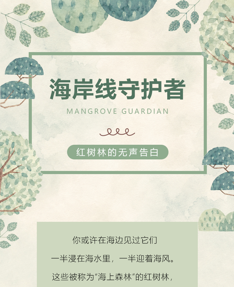 红树林名称由来科普