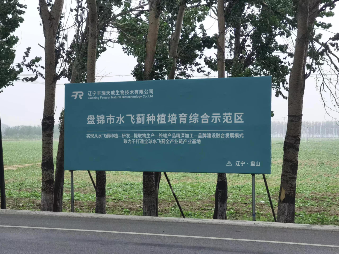 125301ed62fc41485d7dd99024096c48.png