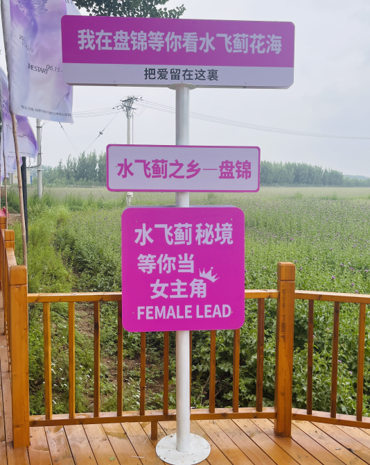 c2ace1082f084a36bcd2ff1ee5487431.png